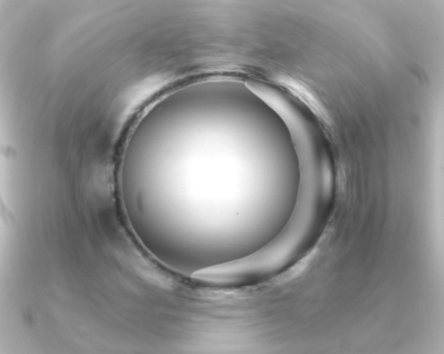 X0000091181164200708091217