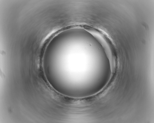 X0000091181165200708091217