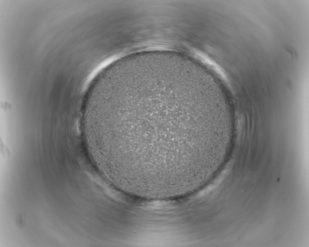 X0000091181166200708091217