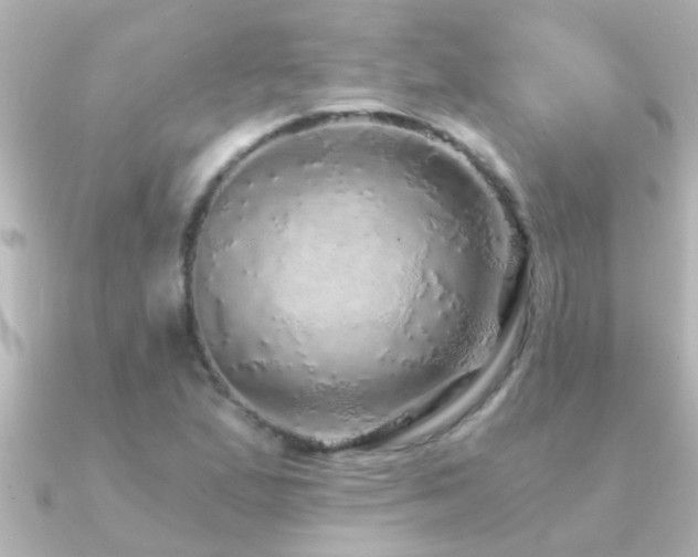 X0000091181167200708091217