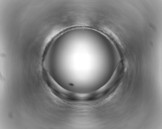 X0000091181168200708091217