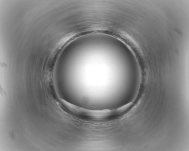 X0000091181169200708091217