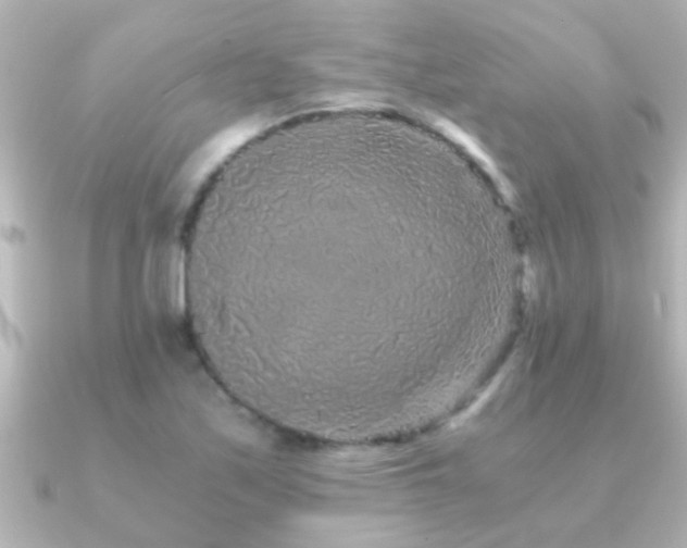 X0000091181171200708091217