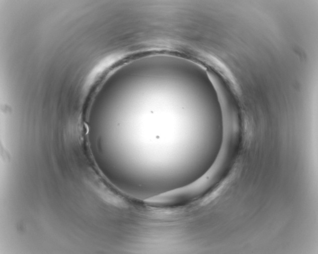 X0000091181172200708091217