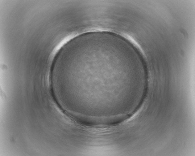 X0000091181173200708091217