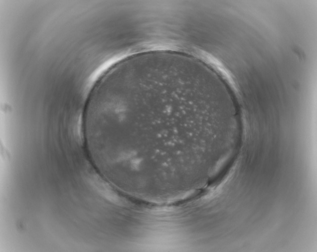 X0000091181174200708091217