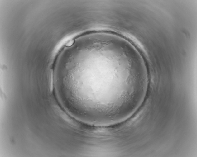 X0000091181175200708091217