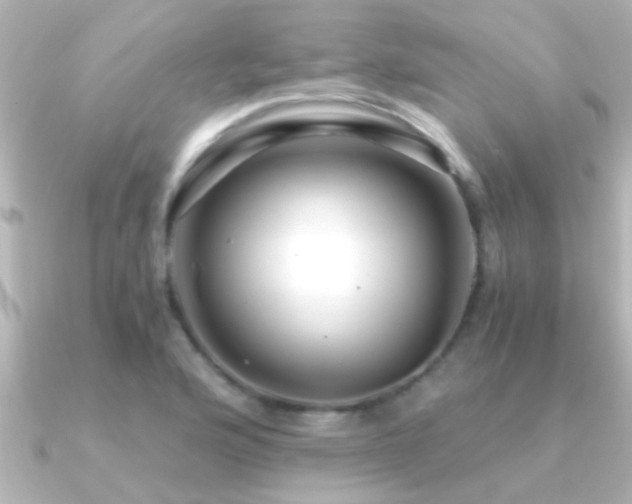 X0000091181176200708091217