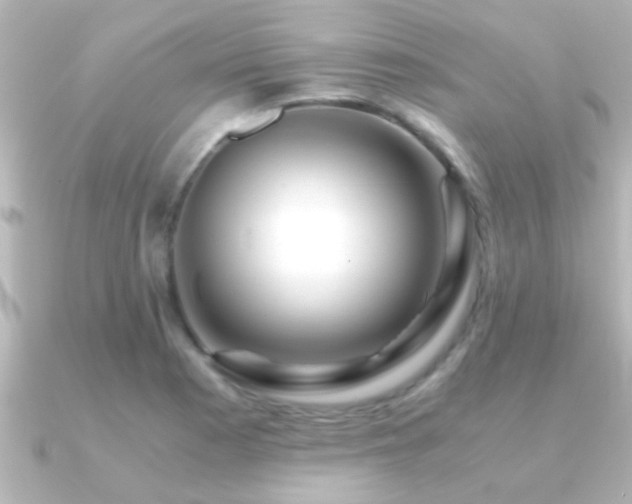 X0000091181177200708091217