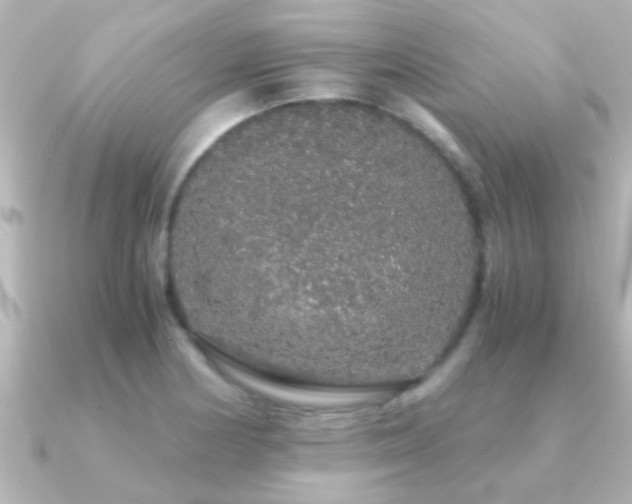 X0000091181178200708091217