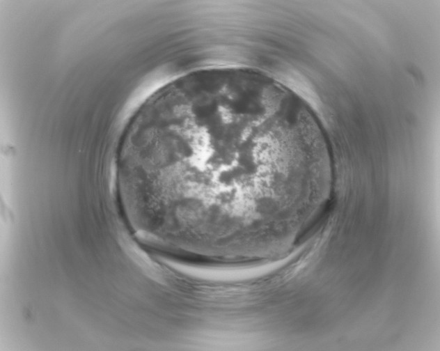 X0000091181179200708091217