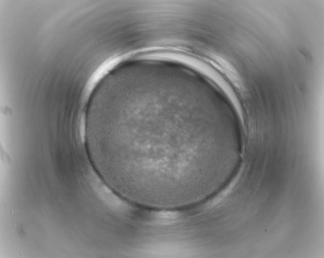 X0000091181180200708091217