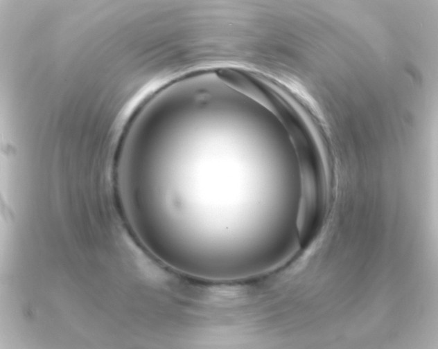 X0000091181181200708091217