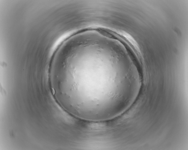 X0000091181183200708091217