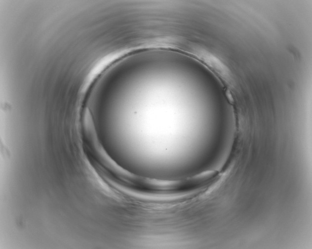 X0000091181184200708091217