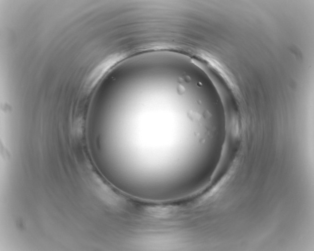 X0000091181185200708091216