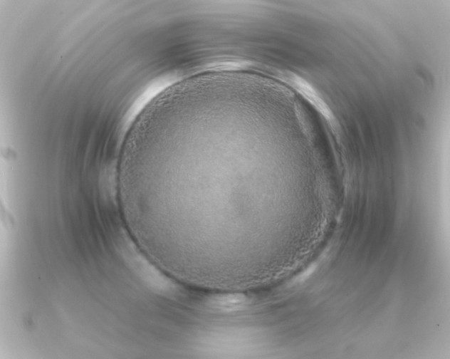 X0000091181186200708091216