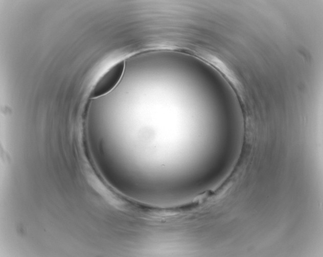 X0000091181187200708091216