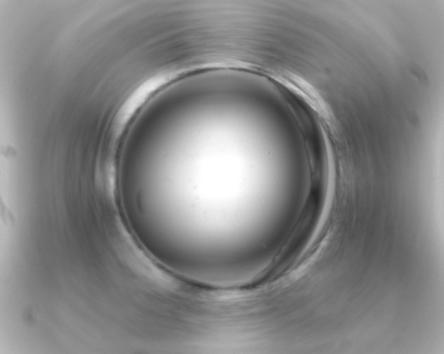 X0000091181188200708091216