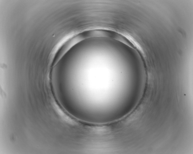 X0000091181189200708091216