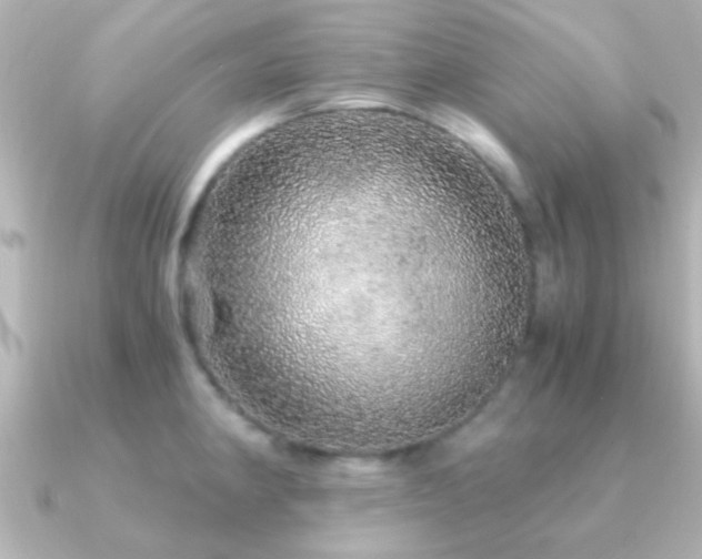 X0000091181190200708091216