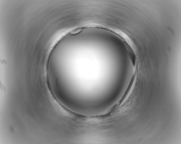 X0000091181191200708091216