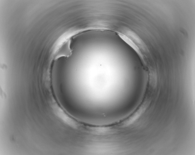 X0000091181192200708091216