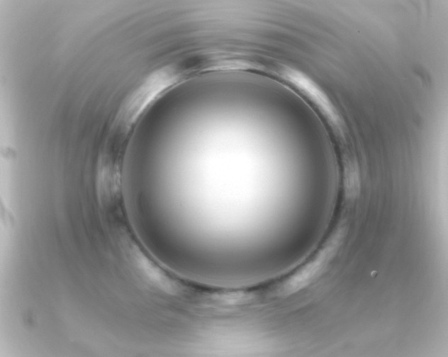 X0000091181193200708091216