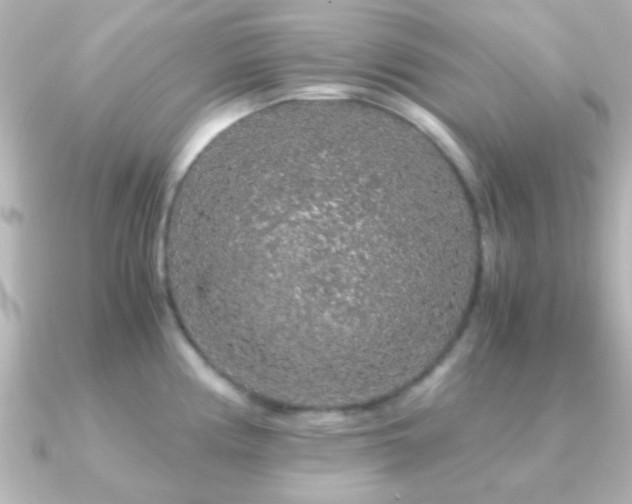 X0000091181194200708091216