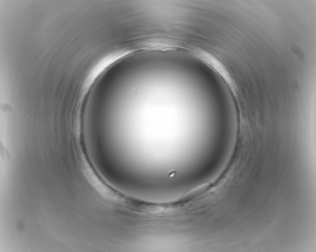 X0000091181195200708091216