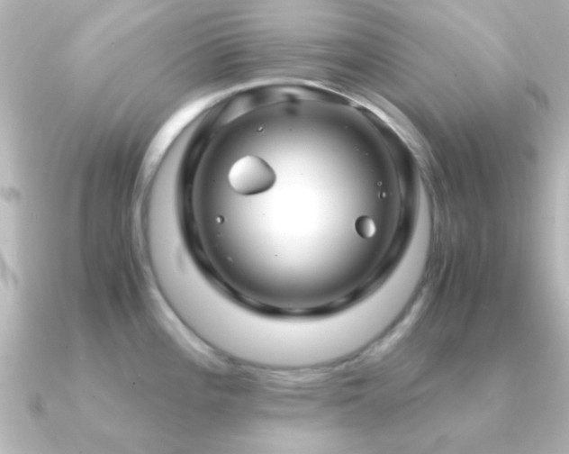 X0000091181196200708091216