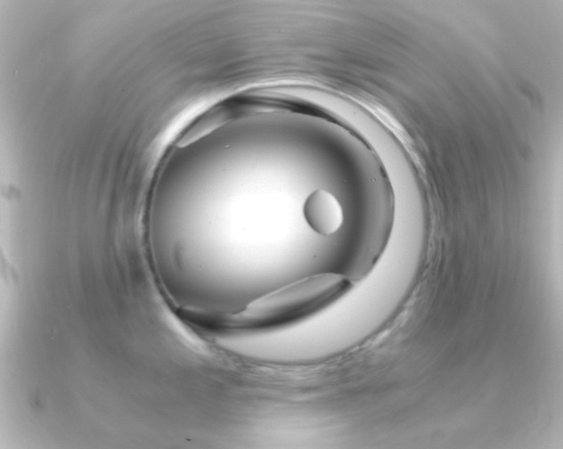 X0000091181197200708091216