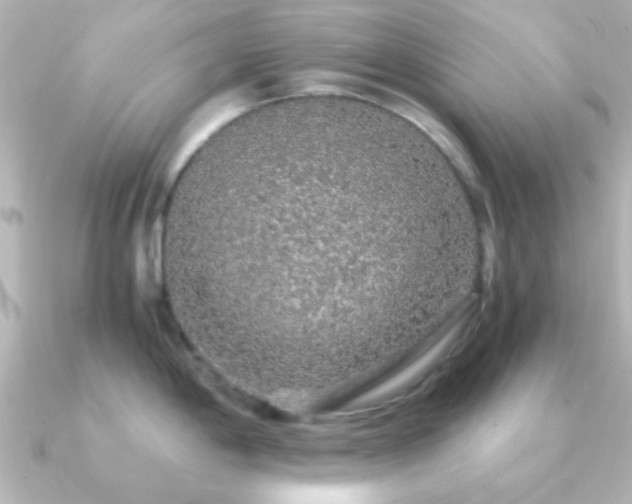 X0000091181198200708091216