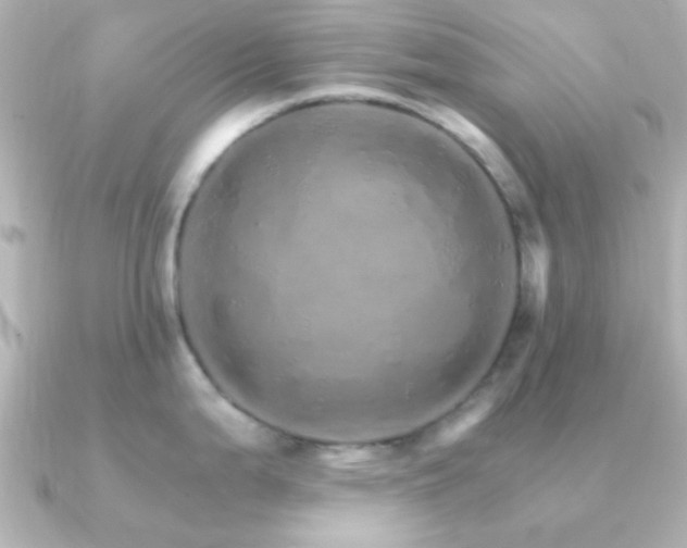 X0000091181199200708091216