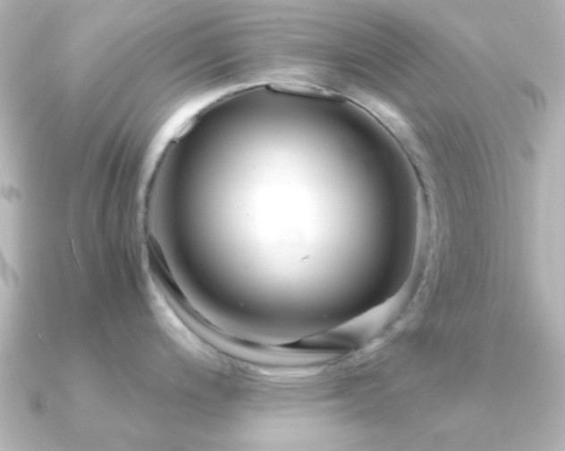 X0000091181200200708091216