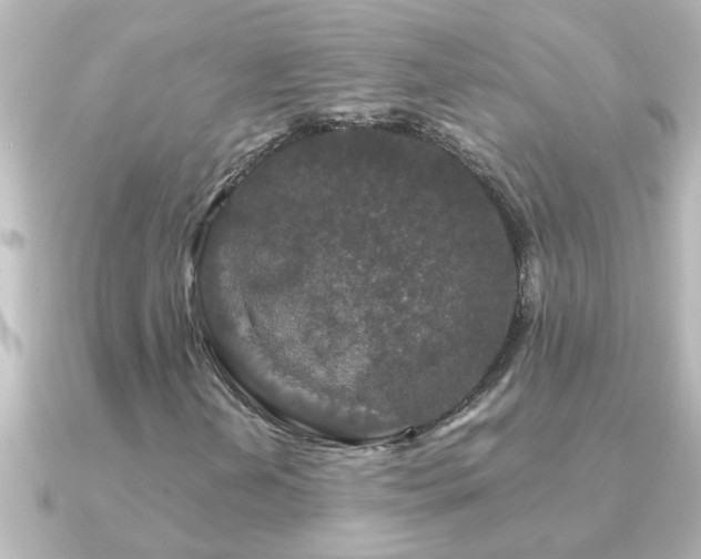 X0000091181202200708091216
