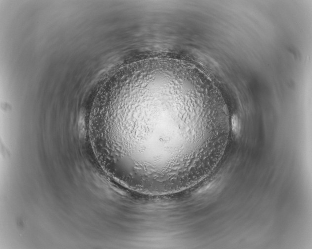 X0000091181203200708091216