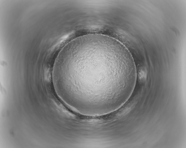X0000091181204200708091216