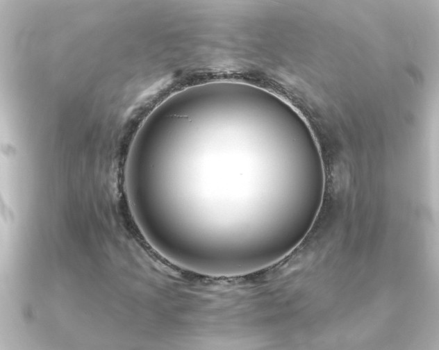 X0000091181205200708091216