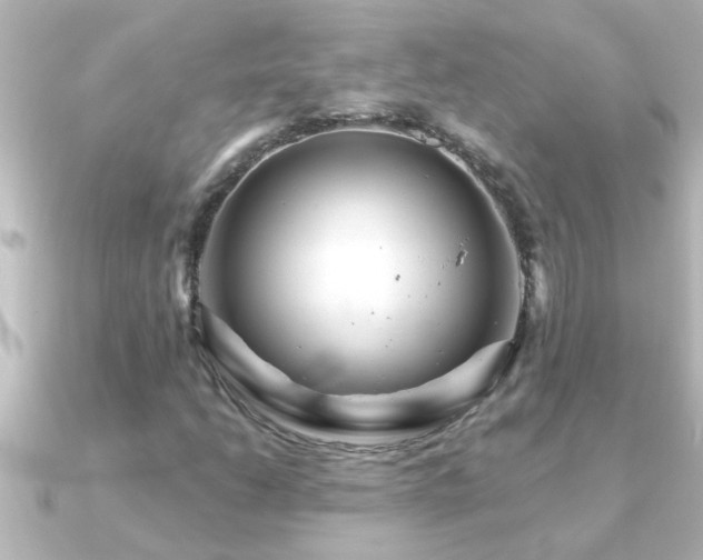 X0000091181206200708091216