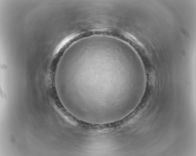X0000091181208200708091216