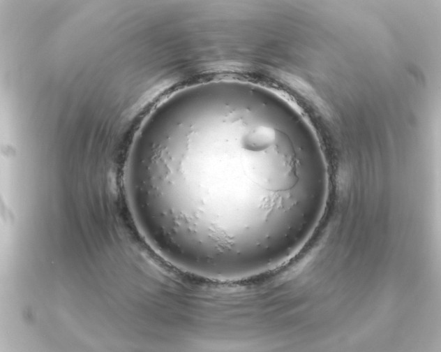 X0000091181209200708091216