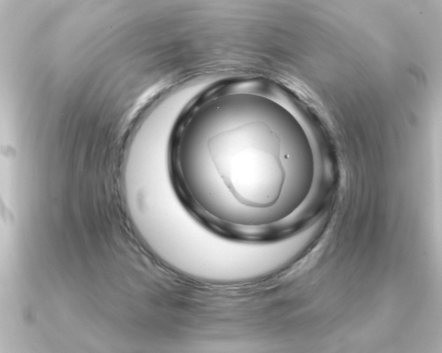 X0000091181210200708091216
