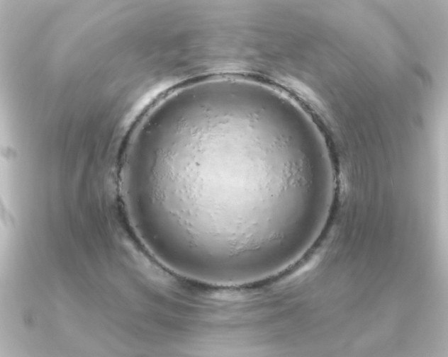 X0000091181212200708091216