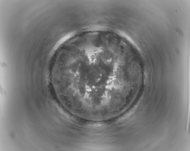 X0000091181213200708091216