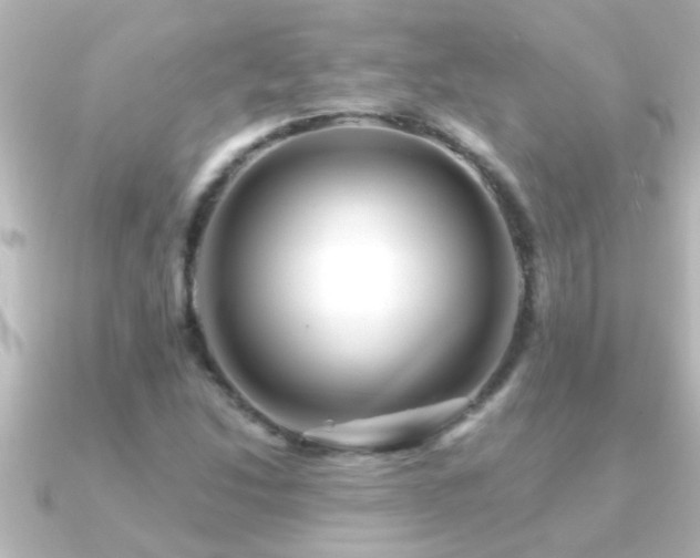 X0000091181214200708091216