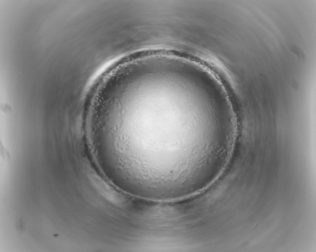 X0000091181216200708091216
