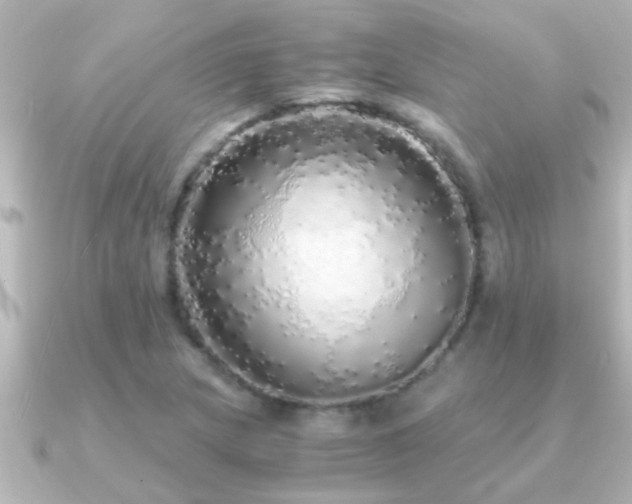 X0000091181217200708091216