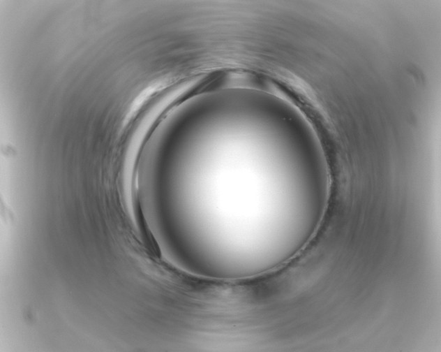X0000091181218200708091216