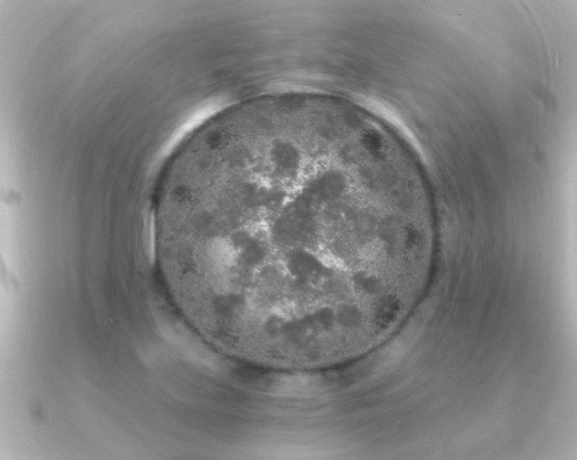 X0000091181219200708091216